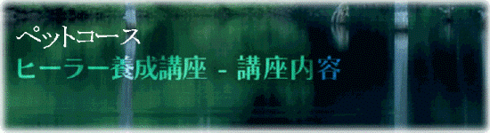 ペットヒーラー養成講座