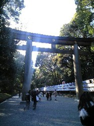 明治神宮の鳥居